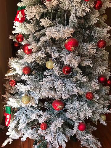 ornament Christmas tree with baubles plant